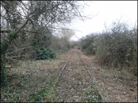 Single track section leaving Portishead