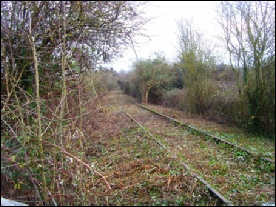 Just after the Marsh Lane Bridge tunnel looking towards Pill. 27 March 2013